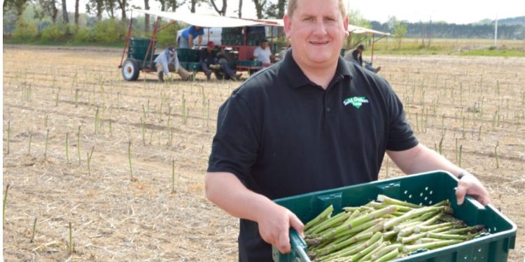 Todd Greiner Farms expands asparagus production, packaging plant