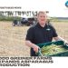 Todd Greiner Farms expands asparagus production, packaging plant