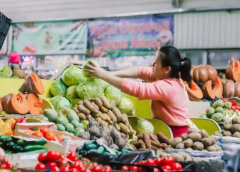 Which vegetables will reduce the price in Almaty