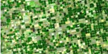 Farm management program earns $2.4 million grant, seeks participants