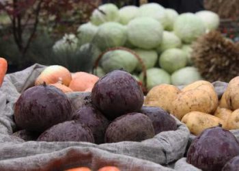 Almost 70 outlets operate every day in Stavropol under the brand “Vegetables to the entrance”