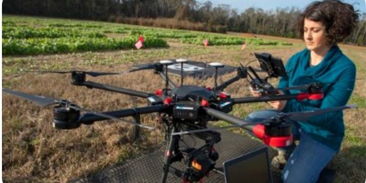 Artificial intelligence: The next revolution in agriculture
