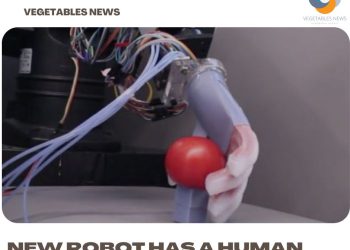 New robot has a human touch