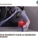 New robot has a human touch