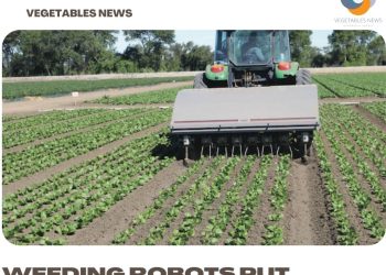 Weeding robots put farms in better control