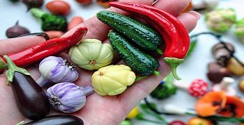 Mini vegetables are grown in Antalya