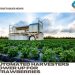 Automated harvesters power up for strawberries