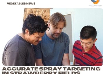 Accurate spray targeting in strawberry fields helped by new app
