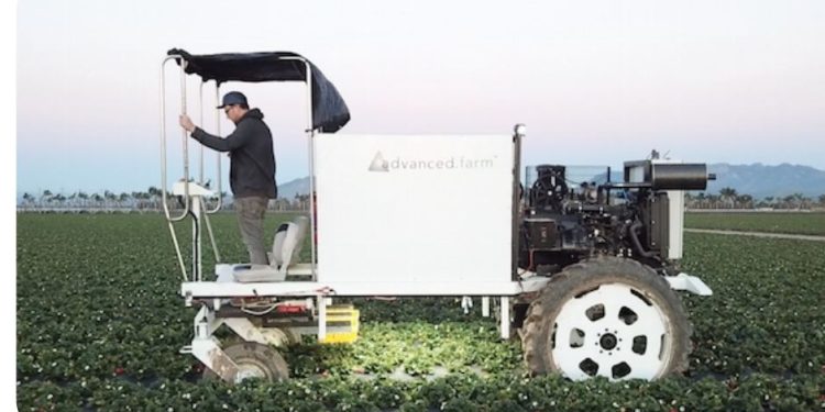 Investment, need drive in-soil strawberry harvester