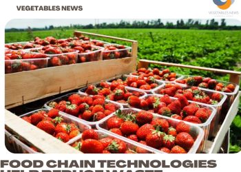 Food chain technologies help reduce waste