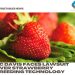 UC Davis faces lawsuit over strawberry breeding technology