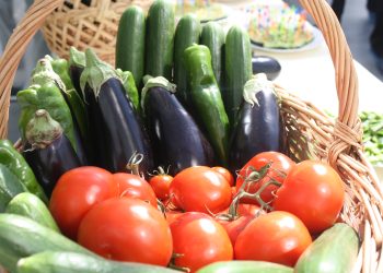 The development of vegetable growing