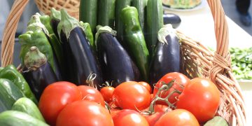 The development of vegetable growing