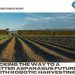 Picking the way to a better asparagus future with robotic harvesting