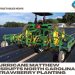 Hurricane Matthew disrupts North Carolina strawberry planting