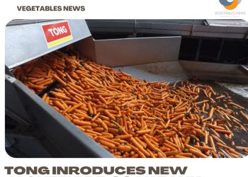 Tong inroduces new jacuzzi pre-soak tank for vegetables