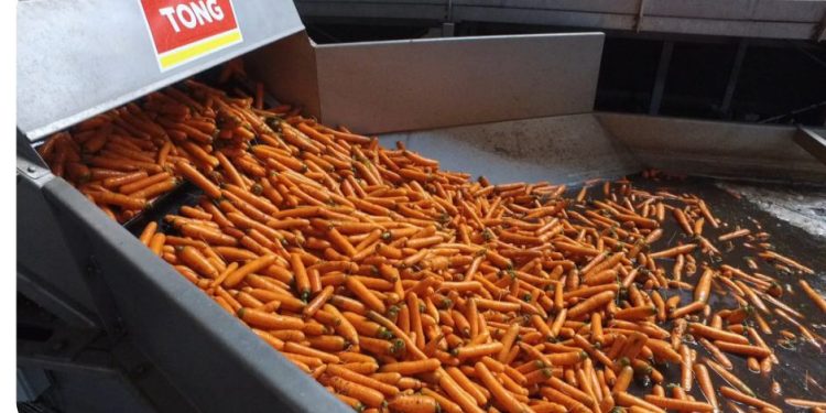 Tong inroduces new jacuzzi pre-soak tank for vegetables