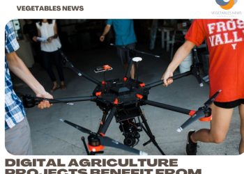 Digital agriculture projects benefit from Cornell fund awards