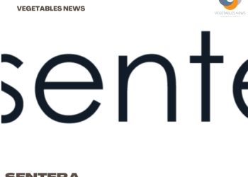 Real-time mapping introduced by Sentera to aid decision support