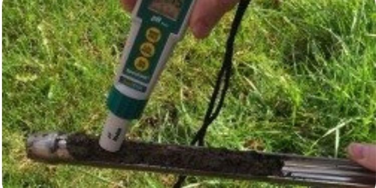 Use pH meter when checking soil acidity