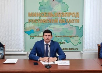 Vegetables in the Rostov region are sown with proven seeds