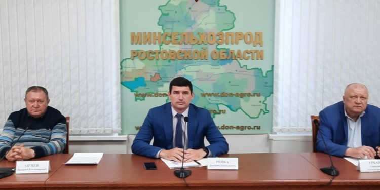 Vegetables in the Rostov region are sown with proven seeds