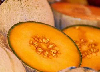 Moscow region wants to increase purchases of Tajik products