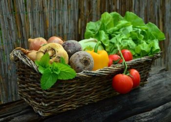 More than 460 thousand tons of vegetables will be harvested in the Moscow region this year