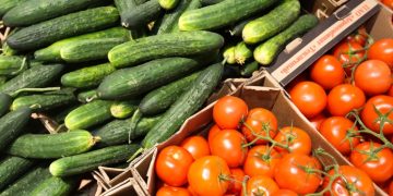 The Ministry of Agriculture has developed a subprogram for selection and seed production of vegetables