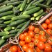 The Ministry of Agriculture has developed a subprogram for selection and seed production of vegetables