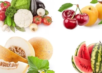 How many fruits and vegetables did Uzbekistan export in five months