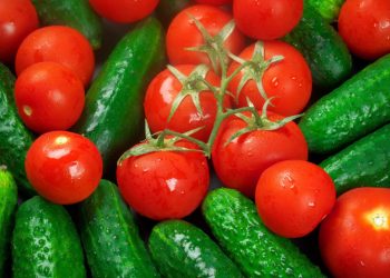 Where do fresh cucumbers and juicy tomatoes come from for the residents of Podolsk