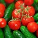 Where do fresh cucumbers and juicy tomatoes come from for the residents of Podolsk