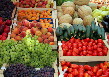 Erenhot BCP in Mongolia Records Steady Growth in Exports of Fruits and Vegetables