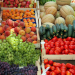Erenhot BCP in Mongolia Records Steady Growth in Exports of Fruits and Vegetables