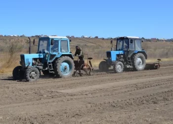 The sown area of ​​vegetables in Transbaikalia amounted to 132 hectares