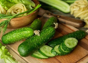 Annual inflation in Tuva is several points lower than the national average, cucumbers are getting cheaper