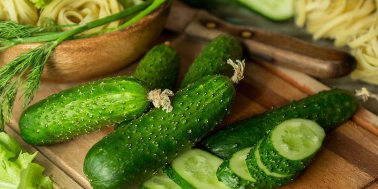 Annual inflation in Tuva is several points lower than the national average, cucumbers are getting cheaper
