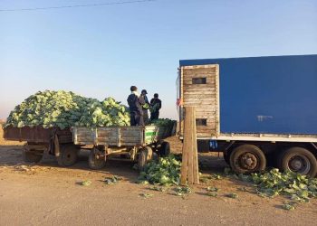 The cost of vegetables and fruits for June 6 and 7 Kazakhstan Turkestan region.