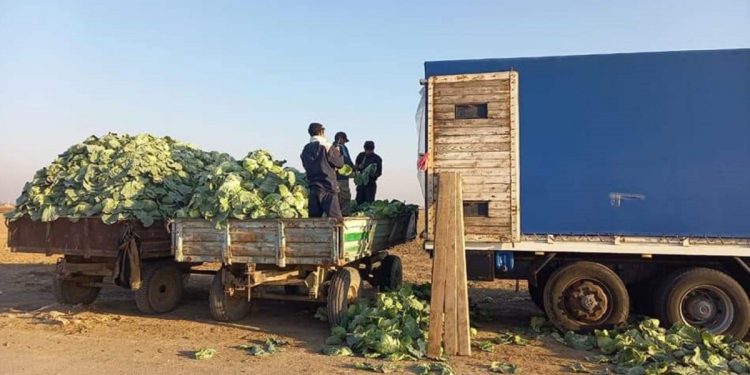 The cost of vegetables and fruits for June 6 and 7 Kazakhstan Turkestan region.