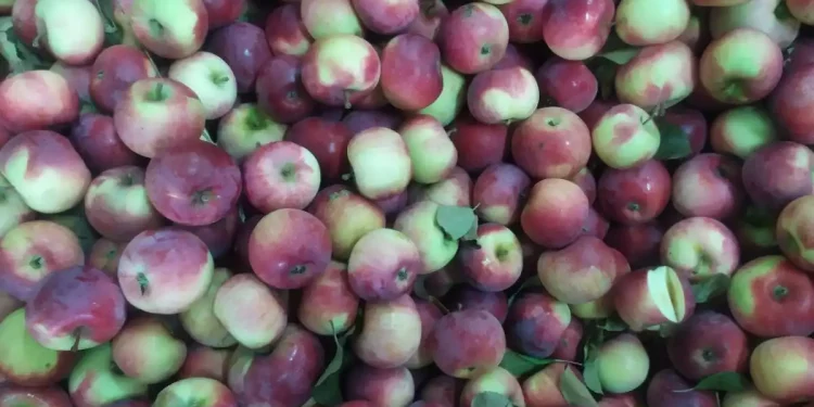 Sweden develops nanosensor to detect pesticides in fruit