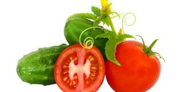 The production of greenhouse vegetables is growing in the Saratov region