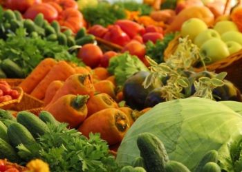 Residents of the science city were reminded that vegetable growing is actively developing in the Moscow region