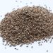 390 kilograms of seeds arrived in Primorye from Japan