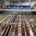 UNITEC installs new cherry sorter at Morada Produce