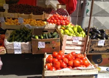 UP TO 54% OF VEGETABLES FOR KUZBASS ARE GOING TO BE GROWED IN FURNACES