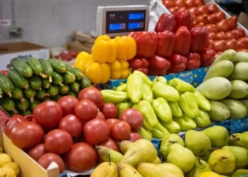 In the Tomsk region, vegetables for borscht fell in price