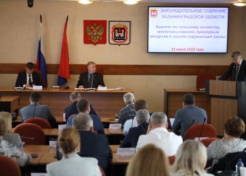 Kaliningrad farmers will receive money to save jobs