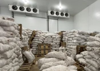 Dagestan will acquire its own center for sorting and packaging fresh vegetables and fruits