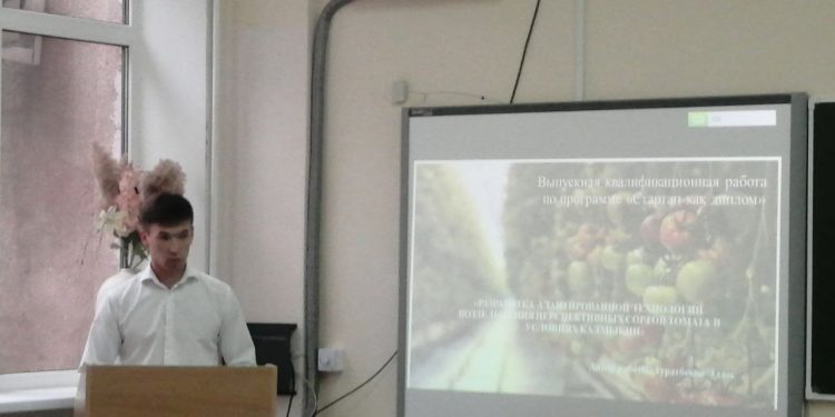 Tomatoes will be grown in the greenhouses of the Kalmgorod State University